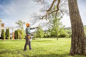 Best Emergency Tree Removal  in Metropolis, IL