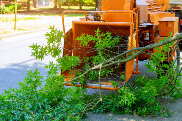 Best Mulching Services  in Metropolis, IL