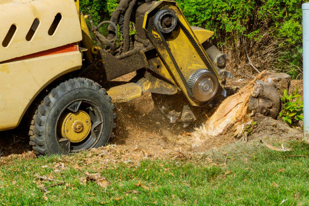 Best Soil Testing and Treatment  in Metropolis, IL